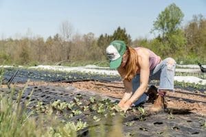 Woman farmer planting in the spring 